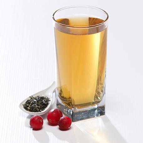 Proti-15 Cold Drink Concentrate Tea & Cranberry